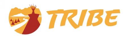 Tulare High School Softball Logo